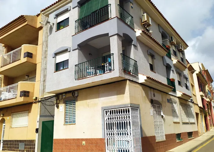 Caballito De Mar